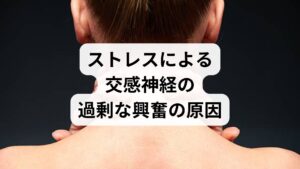 自律神経が乱れると、なぜ「ふわふわ」や「ぐるぐる」といっためまいが起こるのでしょうか。その大きな原因は、強いストレスや睡眠不足、ホルモン変動によって交感神経と副交感神経のバランスが崩れることにあります。自律神経は血管の収縮や拡張を司っているため、バランスが乱れると内耳の血流不足や平衡感覚を司る神経の過敏さを招きます。これが脳への正しい情報伝達を妨げ、代表的な不調としてめまいが現れるのです。また、こうした神経の緊張は睡眠の質を著しく低下させ、さらなる症状の悪化を招く負のスパイラルを生じさせます。