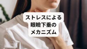 強いストレスは、まぶたの開閉を担う「ミュラー筋」の機能低下を招き、眼瞼下垂（がんけんかすい）を引き起こす大きな原因となります。ミュラー筋は自律神経の交感神経によって制御されており、慢性的な負荷で神経バランスが崩れると筋力が低下し、まぶたが下がりやすくなります。また、長時間のデスクワークによる眼精疲労や血行不良は目元の筋肉を著しく疲弊させ、症状を悪化させる要因です。こうした不調は睡眠の質を低下させ、さらなる倦怠感を生む悪循環に繋がります。鍼灸などで顔周りの血流を促進し、神経の過緊張を和らげるアプローチを検討することが重要です。