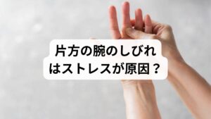 医学的知見に基づくと、片方の腕のしびれが心理的ストレスのみを直接的な原因として発症するケースは極めて稀です。片側に特異的な神経症状が発現する背景には、該当部位の神経根や血管が物理的に圧迫・損傷を受けている可能性が極めて高いと考えられます。しかし、慢性的なストレスは自律神経を著しく乱し、交感神経を過剰に優位な状態へと導きます。この神経系の緊張は、末梢の血液循環を停滞させ、頸椎周辺の筋肉の緊張を増長させる二次的な要因となり得ます。
以下に、ストレスが身体組織へ及ぼす生理学的な影響について詳述します。

・持続的な緊張状態による血管収縮と血液循環の停滞
・無意識の食いしばりや肩の過緊張による筋硬直
・首周りの斜角筋群における慢性的な緊張と神経圧迫