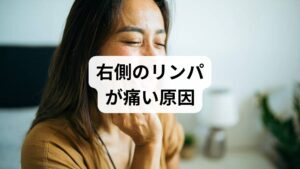 首の右側や耳の下に生じるリンパの痛みや腫れは、ウイルス感染だけでなく、慢性的な筋肉の緊張が引き起こす血液循環の停滞が大きな原因となります。頸部の筋硬直はリンパ液の還流を阻害し、老廃物の蓄積が神経を刺激して「ズキッとした痛み」や違和感を増幅させます。ここでは、右側特有のしこり感や全身症状から見分けるポイントと、循環不全を解消して神経系の負荷を軽減するための生理学的な背景を詳しく解説します。