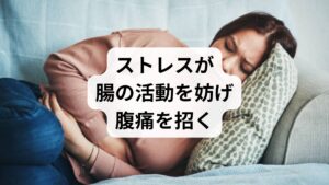 精神的なストレスを脳が感知すると、活動を司る交感神経が過剰に活性化し、身体は即座に緊張状態へと移行します。この反応は本来、危機を回避するための防御機能ですが、消化管の動きを抑制する働きも持つため、腸の正常なぜん動運動が著しく乱れる直接的な原因となります。自律神経のバランスが崩れると、腹痛や下痢、便秘といった消化器系の不調が慢性化しやすい要因にもつながります。