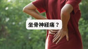 「太ももの裏の筋が痛いだけでなく、ピリピリとしびれる」と感じる場合、筋肉ではなく「神経の圧迫」が原因かもしれません。その代表格である坐骨神経痛は、腰椎の変形や筋肉のこわばりによって生じ、お尻から足先まで鋭い痛みを引き起こします。特にデスクワークで腰を丸める姿勢のクセがある人は注意が必要です。放置は自律神経を乱し、夜間の睡眠の質を著しく低下させる恐れがあります。本記事では、自分の症状を確認するセルフチェック項目から、痛みを和らげる改善対策、受診の目安までを詳しく解説します。