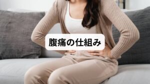 自律神経は、意識とは無関係に内臓の働きを制御しているため、バランスが乱れると胃腸の機能へダイレクトに影響を及ぼします。例えば、交感神経が優位になりすぎると胃の血管が収縮して血流が停滞し、消化機能が低下します。反対に副交感神経が過剰になれば胃酸分泌が亢進し、粘膜を傷つけたり食道へ逆流したりすることも。これらの異変が、みぞおちの締め付け感や息苦しさ、胸のつかえとして現れるのです。また、自律神経の乱れは全身に波及するため、動悸やめまい、倦怠感といった他の不定愁訴を併発するケースも少なくありません。