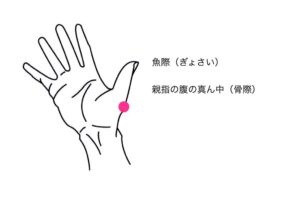 **魚際(ぎょさい)**は、親指の付け根にある膨らみと骨の境界に位置するツボです。反対側の親指の腹で優しく刺激しましょう。喉の炎症による声枯れは、東洋医学では「肺に熱がこもった状態」と考えられています。魚際は、その余分な熱を効率よく取り除く「清熱」の働きがあるため、腫れや痛みを伴う声枯れに最適です。