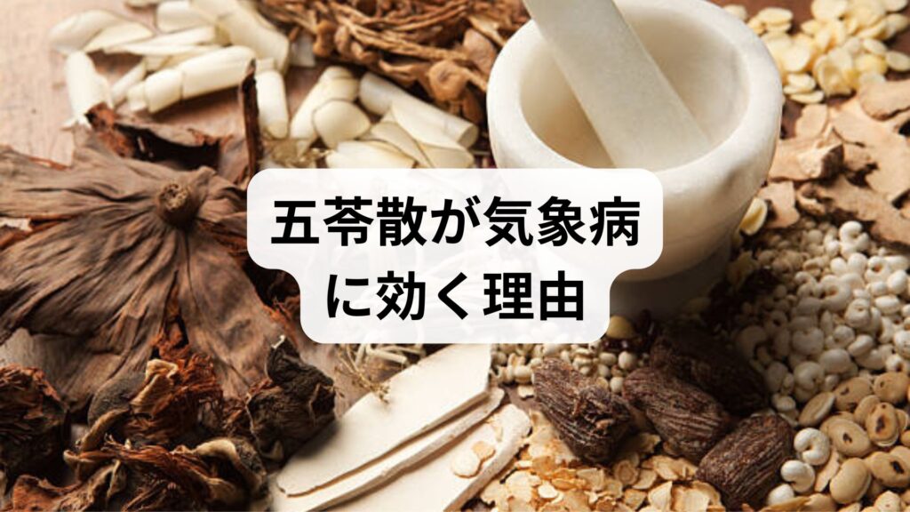 雨の日のだるさを解消！五苓散が気象病に効く理由と効果的な使い方のコツ