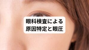 視力や眼圧、涙の質を精査する基礎検診は、単なる数値化に留まらず、自律神経の乱れを引き起こす直接的な原因を特定するために不可欠です。適切な処置によって視覚的な負荷を軽減することは、ピント調節を司る筋肉の緊張を解き、顔面部の微細な血液循環に滞りを生じさせない環境を整えます。この巡りの正常化は、各疾患に伴う組織の損傷を防ぐだけでなく、慢性的な目のかすみを定着させる要因を排除します。視覚的なノイズを低減させる一連の治療は、夜間も脳を「戦闘モード」に留める負荷を和らげ、生理的な休息スイッチへの切り替えを促進することで、翌日の活動エネルギーを蓄えます。