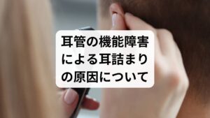 耳が詰まった感じや圧迫感が生じる主な原因は、中耳と喉を繋ぐ「耳管」の機能不全です。通常、耳管は嚥下やあくびの瞬間にだけ開き、鼓膜の内外の圧力を等しく保つ役割を担っています。しかし、炎症などで耳管がうまく開かない「耳管狭窄症」や、逆に開きっぱなしになる「耳管開放症」などの障害が起きると、気圧変化への適応が困難になります。耳管の正常な開閉機能を維持し、中耳の環境を健やかに保つことは、天候や環境の変化に左右されない安定した聴覚環境を整えるために極めて重要です。