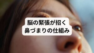 鼻の不調は単なる局所の問題ではなく、脳神経と直結した繊細なストレス反応が直接的な原因となっている場合があります。鼻の機能は自律神経を介して心や脳と密接にリンクしており、精神的な緊張は鼻粘膜周辺の筋肉の緊張を強めてしまいます。この硬直が顔面部の微細な血液循環を停滞させる循環不全を招き、粘膜の腫れや鼻詰まりを長引かせる負の連鎖を形成します。こうした呼吸の質の低下は、夜間の睡眠の質を著しく阻害し、身体の本来持つ修復機能を妨げる要因です。