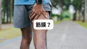「太ももの裏の筋が痛いというより、常に重だるく張っている」と感じる場合、原因は筋肉を包む「筋膜」の癒着や「トリガーポイント」かもしれません。長時間のデスクワークや不自然な姿勢のクセは、筋膜を硬くし、離れた場所に響く「関連痛」を引き起こします。これらは血流不全を招き、自律神経の乱れや睡眠の質低下を助長する要因となります。本記事では、筋膜リリースや正しいストレッチ等の改善対策を詳しく解説。慢性的な「張り」の正体を知り、しびれや激痛に変わる前に、軽やかな足取りを取り戻しましょう。