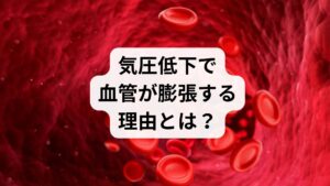 気圧が低下すると体にかかる外圧が弱まり、内側から押し返す力が相対的に強くなるため、血管が膨張します。通常は自律神経の働きにより、気圧の変化に合わせて血管を適切に収縮させることが可能です。しかし、耳の奥にある内耳の前庭神経が気圧変動に対して過剰に反応すると、自律神経のバランスが急激に乱れます。この神経の興奮によって自律神経が正常に機能しなくなると、血管のコントロールが困難になり、頭痛や倦怠感といったさまざまな不調を招きます。気圧と体内の圧力バランス、そして自律神経の密接な関係が不調の引き金です。