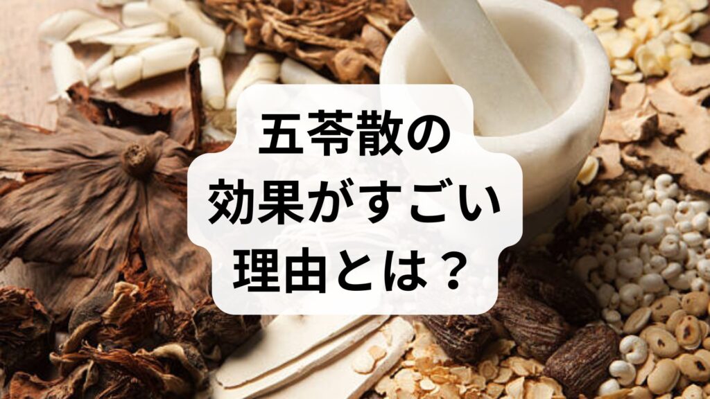 五苓散の効果がすごい理由とは？むくみ・頭痛への即効性をブログ風に徹底解説！