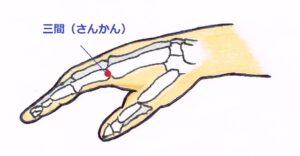 ツボ押しは、耳周囲の血流を促し、緊張した筋肉や自律神経に働きかける有効なセルフケアです。力を入れすぎず、「痛気持ちいい」強度で行いましょう。
① 完骨(かんこつ)|首・頭の緊張をほぐし自律神経を整える
・場所: 耳の後ろにある出っ張った骨(乳様突起)の斜め後ろ下にある凹み。
・押し方: 親指を凹みにあて、頭の中心に向かって下から上にじんわり持ち上げるように圧をかけます。5秒押してゆるめる動作を3〜5回繰り返します。
② 翳風(えいふう)|耳周囲の血行を強力に促す名穴
・場所: 耳たぶの真裏にある、凹んだ部分。
・押し方: 人差し指または中指の腹をあて、円を描くようにやさしく揉みほぐします。息を吐きながら10秒程度、心地よい強さで刺激します。
③ 三間(さんかん)|外出先でもすぐ押せる手のツボ
・場所: 人差し指の側面、手の甲側にある第二関節の親指寄りの凹み。
・押し方: 反対側の親指と人差し指で挟むように持ち、親指の先でやや強めに5秒×3回押します。オフィスや移動中でも手軽にケアできます。