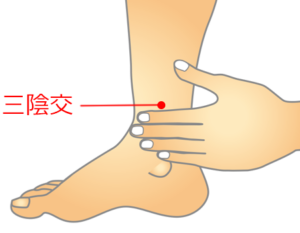 東洋医学において、ツボ（経穴）は全身の気（エネルギー）や血（血液）の通り道上にある重要拠点です。 ツボを刺激することで、自律神経のバランスを整える効果が期待できます。 ここでは、特に更年期の症状におすすめのツボを5つ厳選してご紹介します。

1. 内関（ないかん）：イライラ・吐き気・動悸を鎮める
手首の内側にあるツボで、精神を安定させる効果が高く、乗り物酔いや胸のモヤモヤにも有効です。
・場所：手首のシワの中央から、指幅3本分肘に向かったところ（2本の筋の間）。
・押し方：反対側の親指で、心地よいと感じる強さで5秒ほどじっくり押します。

2. 神門（しんもん）：不安感・不眠・心の乱れを整える
「心」の働きを補い、精神的なストレスや不眠、不安感を和らげるツボです。
・場所：手首のシワの小指側にある、凹んでいるところ。
・押し方：親指を当て、手首を挟み込むようにして優しく揉みほぐします。

3. 百会（ひゃくえ）：自律神経の万能ツボ・頭重感の解消
頭頂部にあるツボで、100の症状に効くと言われる万能なツボです。自律神経のリセットに効果的です。
・場所：左右の耳の穴を結んだ線と、鼻から頭のてっぺんに向かう線が交差する頭頂部。
・押し方：中指の腹を重ねて当て、頭の中心に向かって垂直にゆっくり押します。

4. 太衝（たいしょう）：のぼせ（ホットフラッシュ）・イライラを抑える
体に溜まった過剰な「熱」を下げ、頭に血が上るのを防ぐ効果があります。
・場所：足の甲にあり、足の大指と第2指の骨が交わる手前の凹み。
・押し方：親指を押し当て、かかとに向かって押し上げるように刺激します。

5. 三陰交（さんいんこう）：女性特有の冷え・冷えのぼせに効果的
女性の健康に欠かせない3つの経絡が交わる重要なツボで、冷えやホルモンバランスの調整に優れています。
・場所：足の内くるぶしの指幅4本分上にあり、骨のきわの凹んでいるところ。
・押し方：親指で骨の裏側に指を滑り込ませるように、じっくり押します。